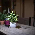 Ht Urban Atrium 아파트 *