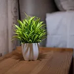 Ht Urban Atrium 아파트 로마